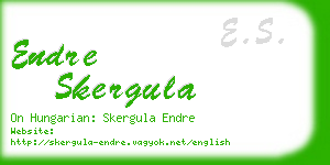 endre skergula business card